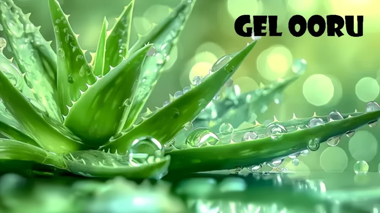 Gel Ooru
